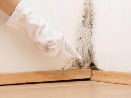 Best Emergency Mold Remediation  in Mante, CA